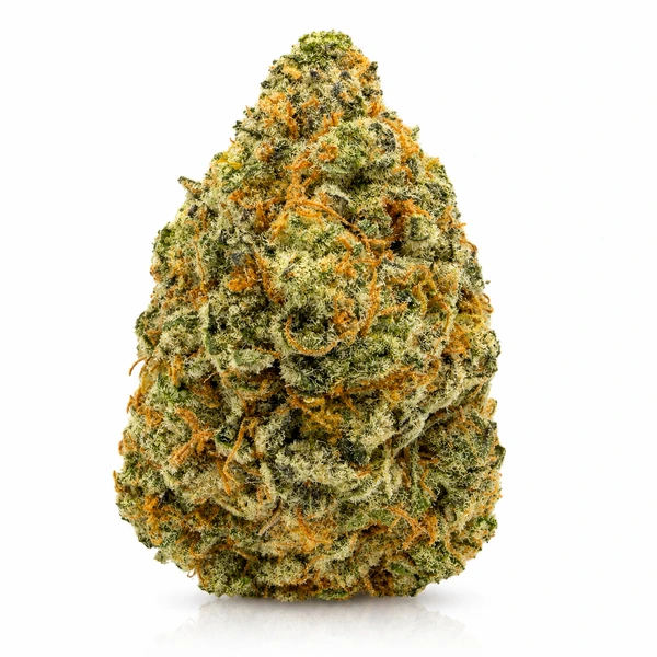 JACK HERRER on the JFC delivery menu
